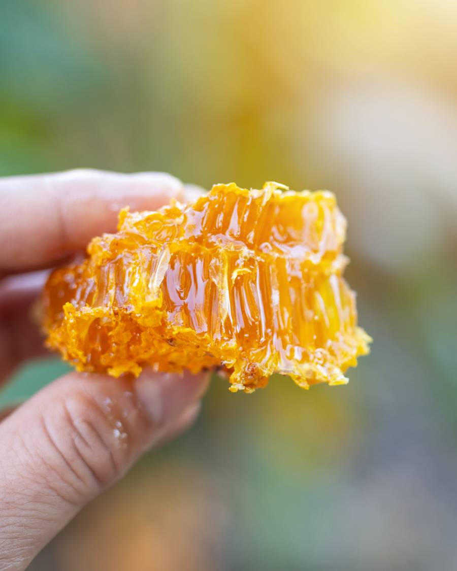 The Honey and Olive Oil of El Perelló